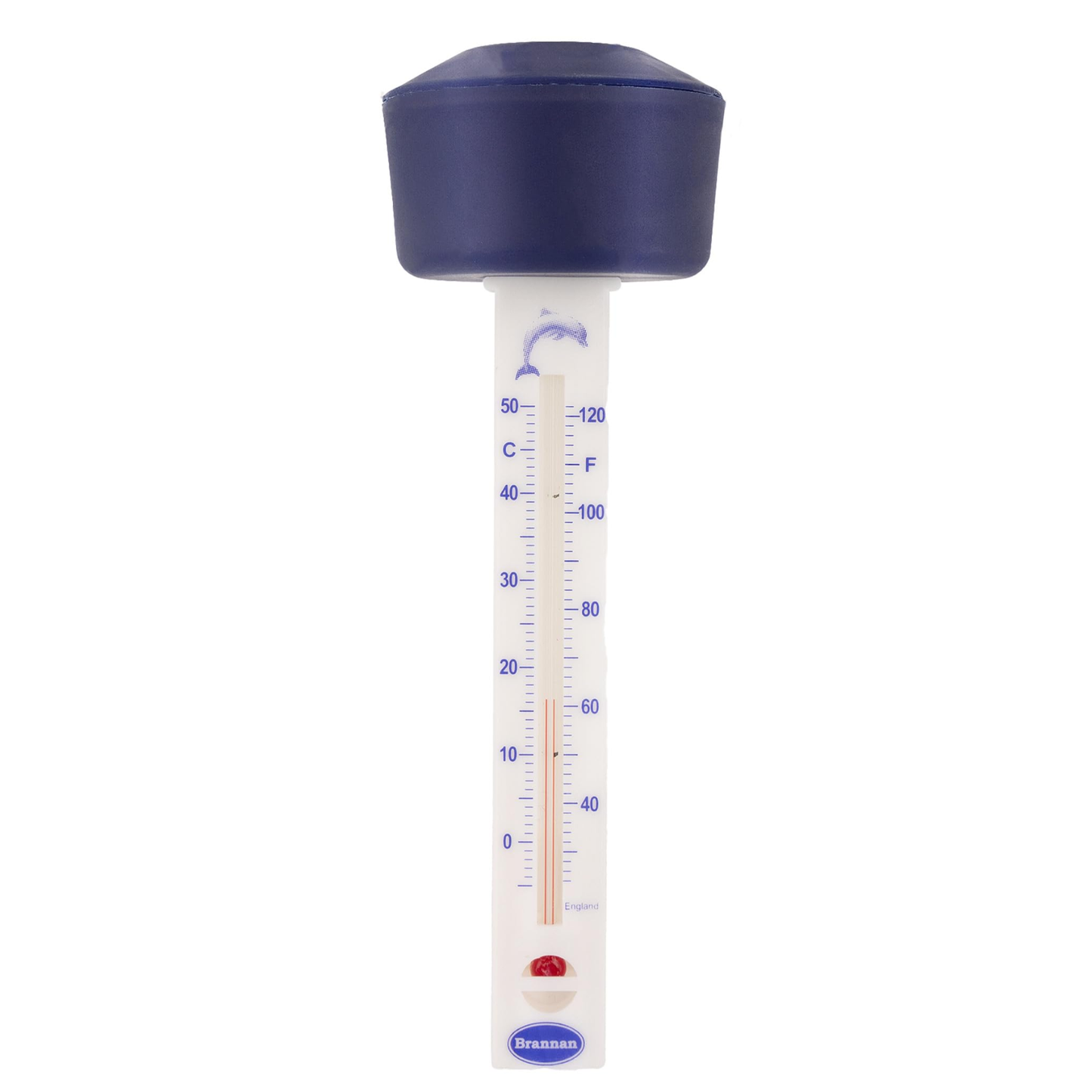 Termometro Combinato Galleggiante per Piscina